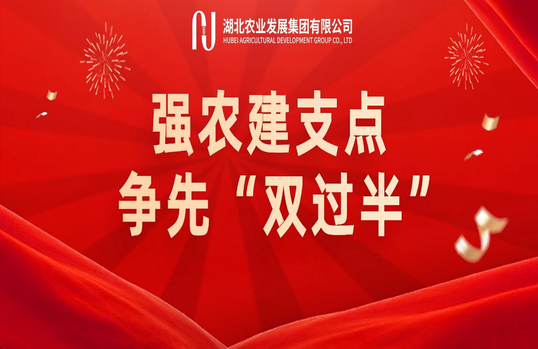 强农建支点 争先“双过半” | 省粮油进...