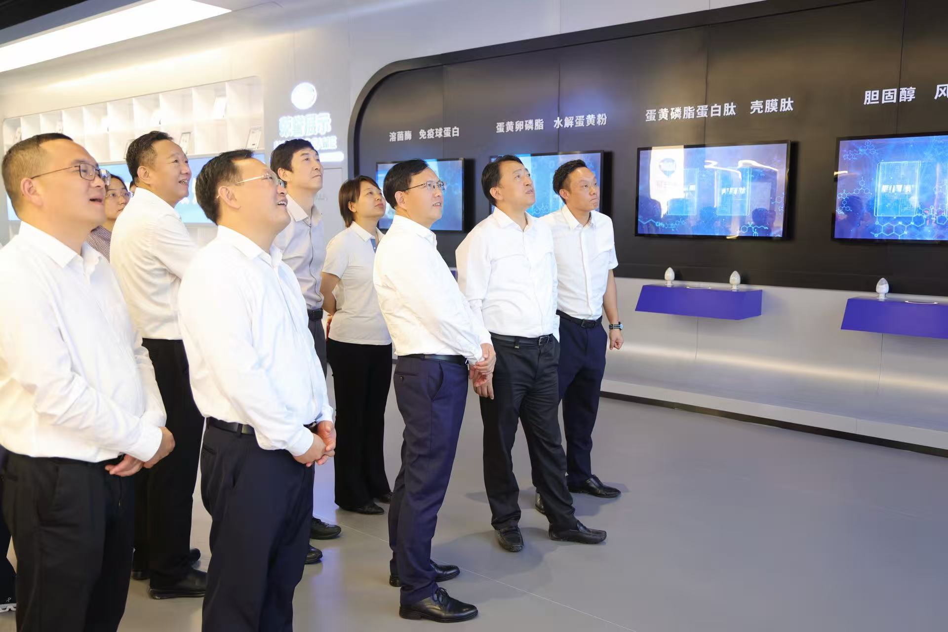 杨良锋一行赴红安县调研