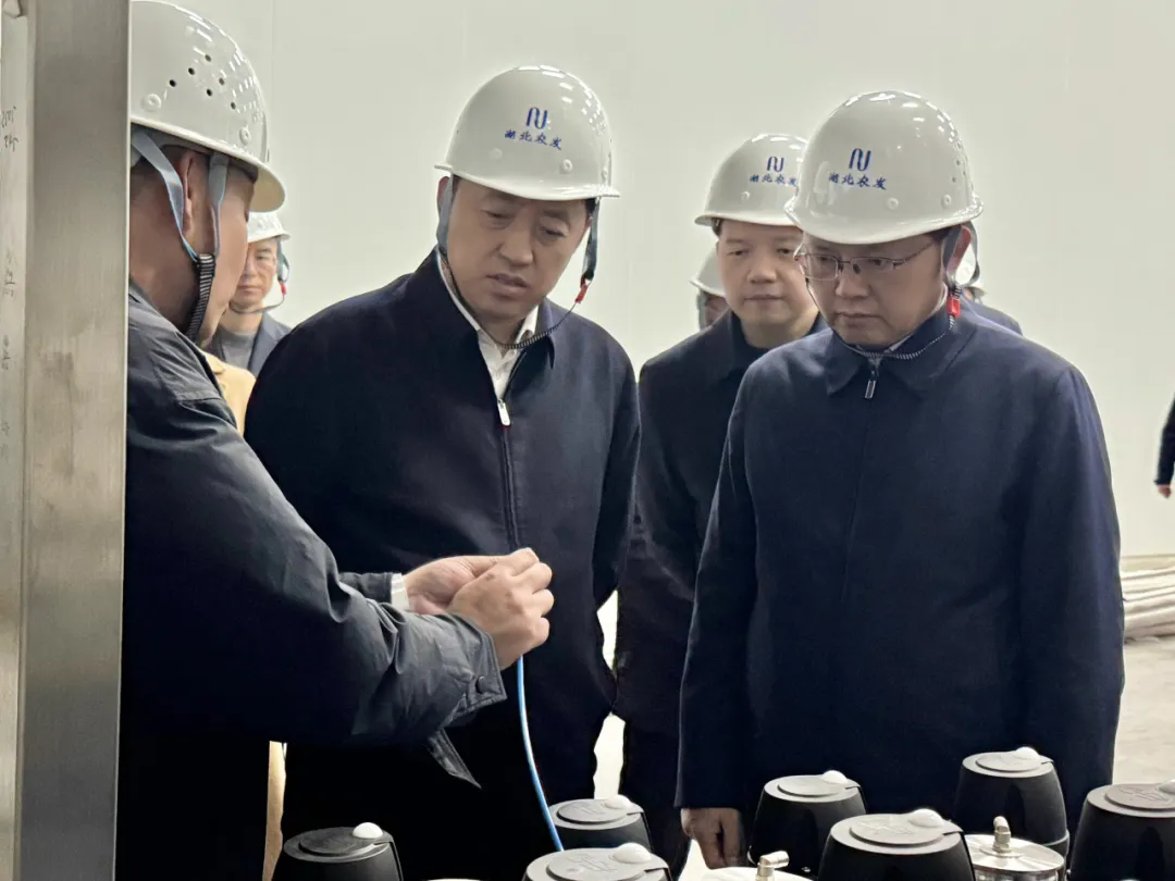 杨良锋一行调研蛋品精深加工项目